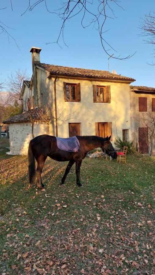 La Caneveta Al Piave Valdobbiadene Exterior photo
